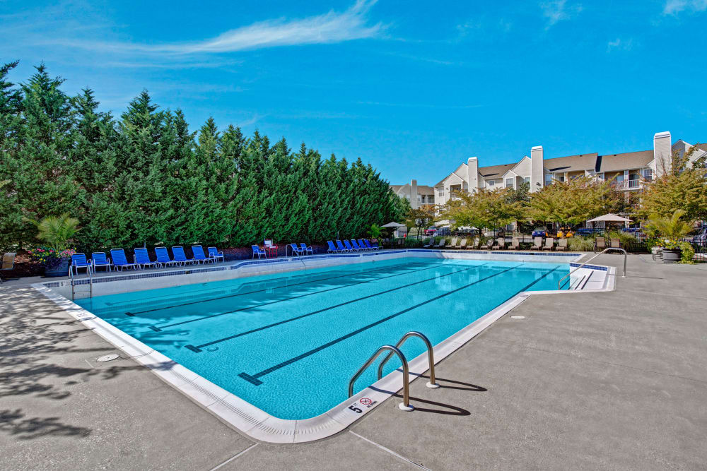 Swimming pool at Windsor Commons Apartments in Baltimore, Maryland