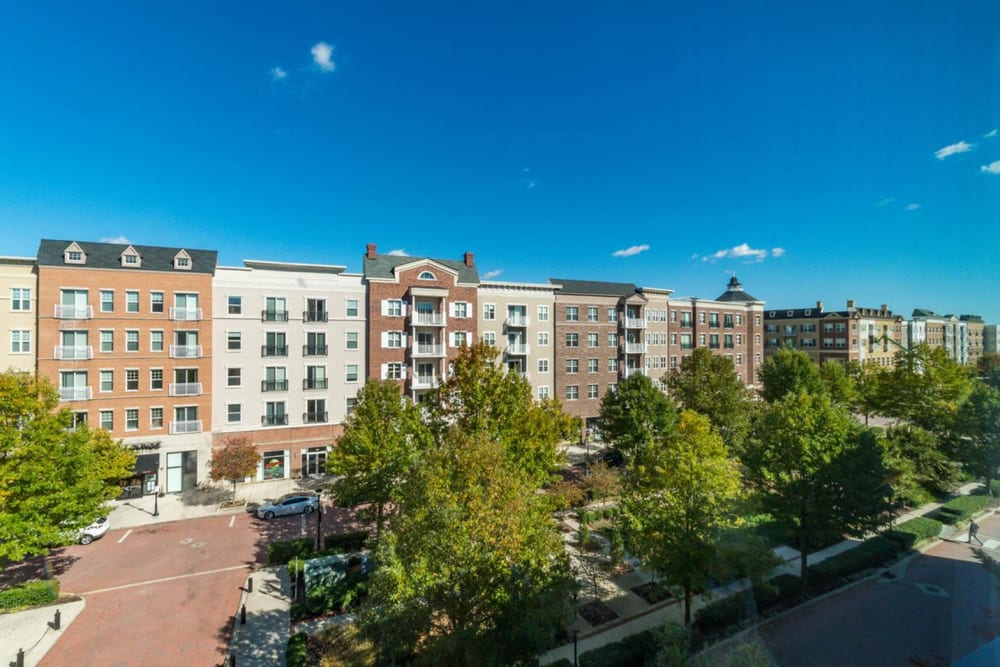 Lovely exterior photo showing all the luscious trees surrounding the area at The Flats at West Broad Village in Glen Allen, Virginia
