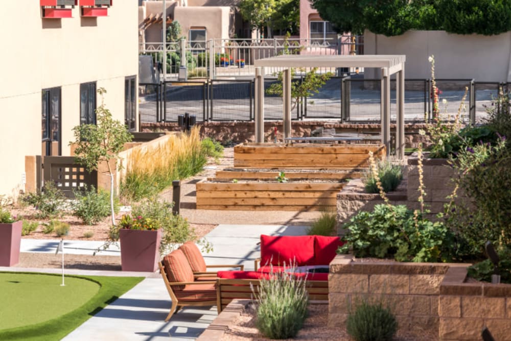Community garden next to the putting green in the courtyard at Amaran Senior Living in Albuquerque, New Mexico