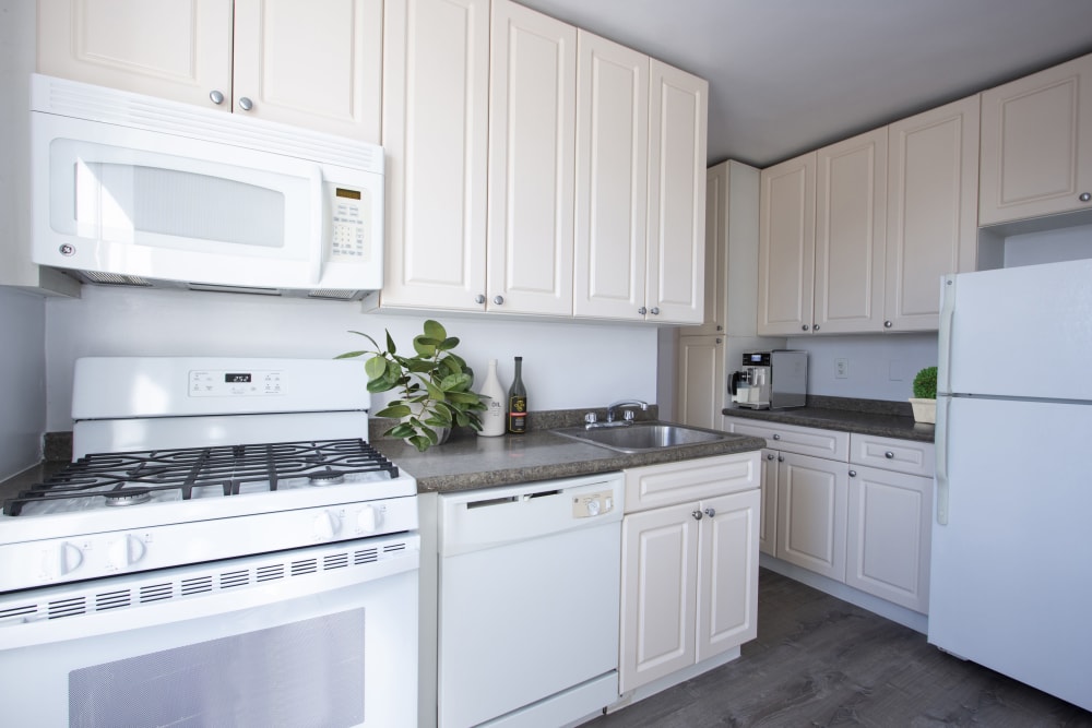 Model kitchen with all white appliances at Eastgold Long Island in Long Beach, New York