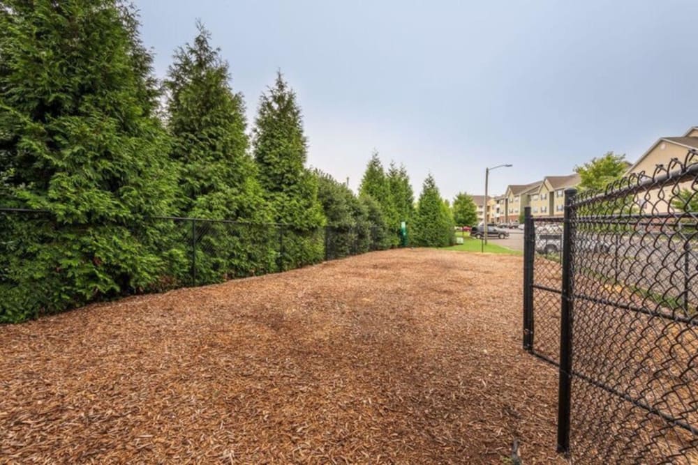 Onsite leash-free bark park at Carden Place Apartment Homes in Mebane, North Carolina