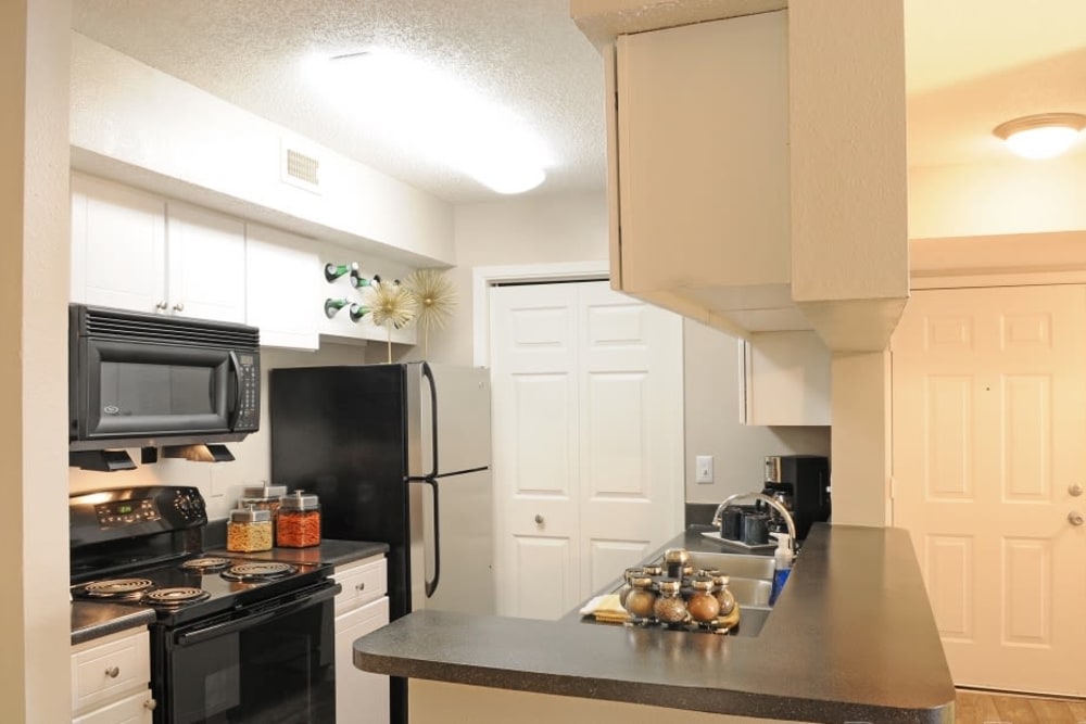 Fully equipped model kitchen with built-in microwave and double stainless steel sink at Hampton Greene Apartment Homes in Columbia, South Carolina