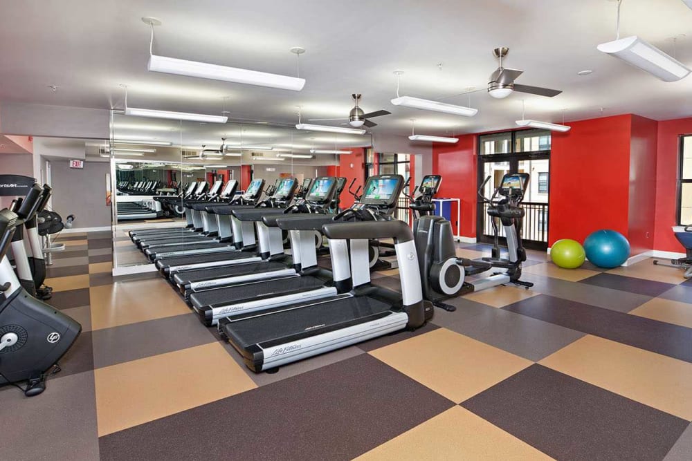 Fitness center at Cielo in Charlotte, North Carolina
