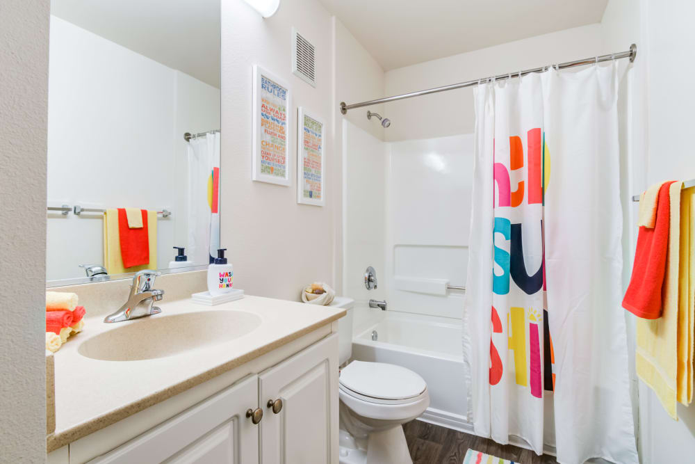 A furnished bathroom with colorful decor in a home at The Village at Serra Mesa in San Diego, California