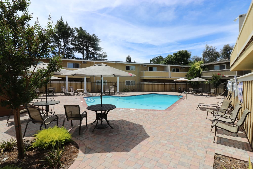 Pool at Mountain View Apartments in Concord, California