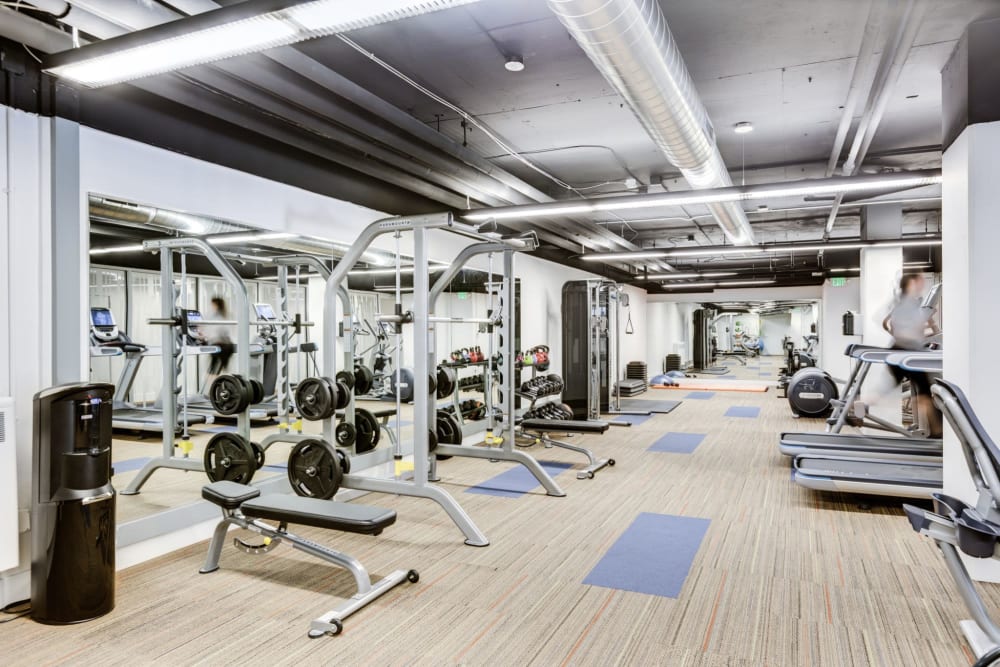 Large fitness center at Panorama Apartments in Seattle, Washington