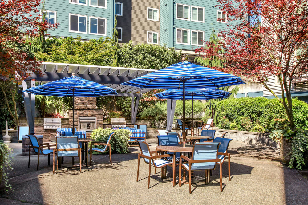 Open-air courtyard between resident buildings with shaded seating areas at Vantage Park Apartments in Seattle, Washington