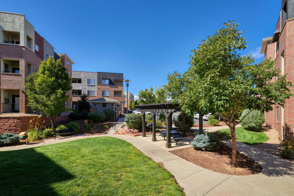 Gorgeous trees and grass area around the buildings at Marq Inverness in Englewood, Colorado