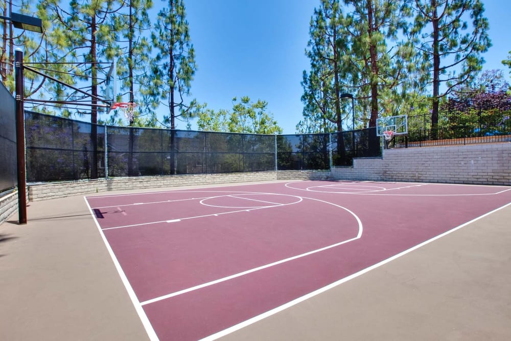 Great basketball court at Sofi Ocean Hills in Oceanside, California