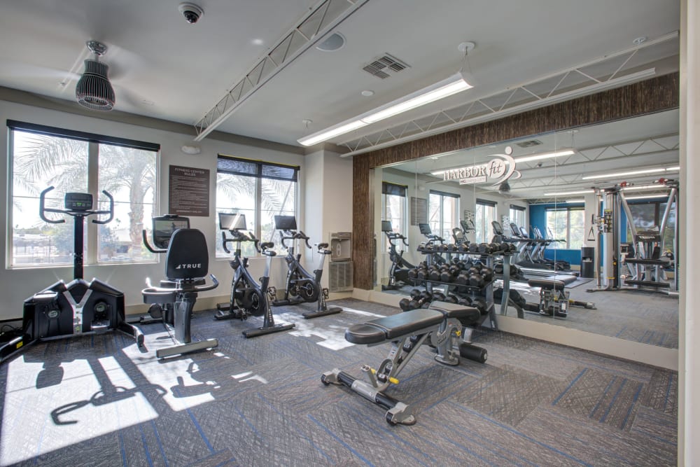 Fitness center at Luxe Scottsdale Apartments in Scottsdale, Arizona