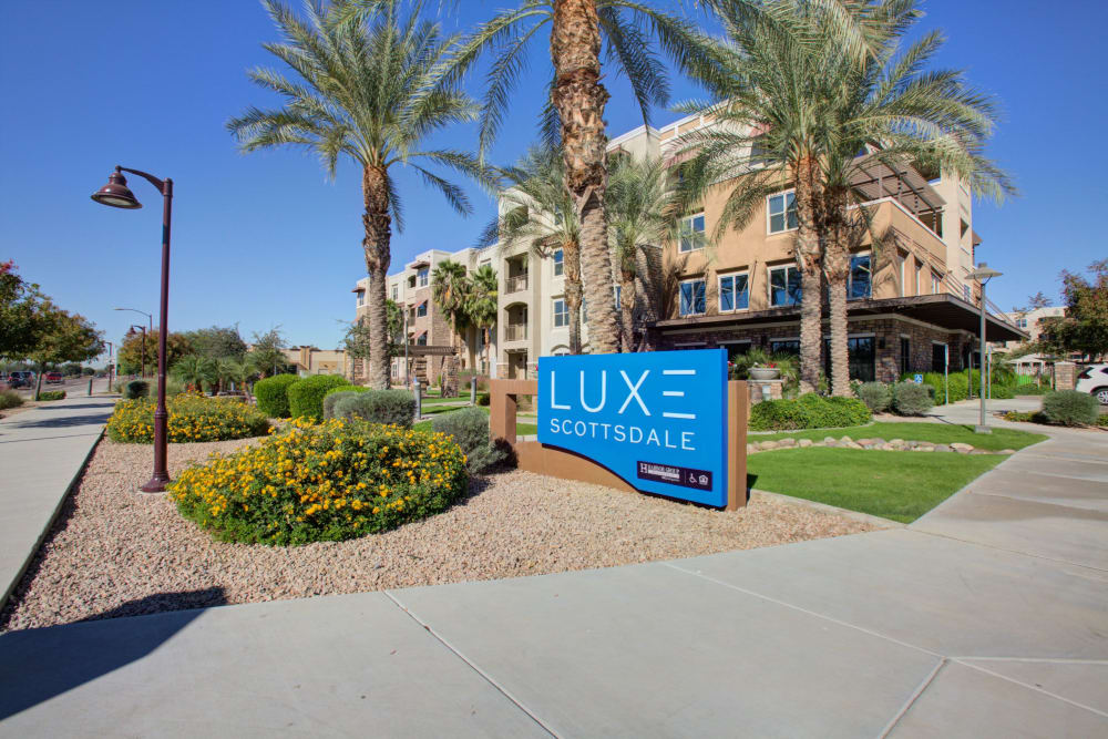 Palm trees around the building at Luxe Scottsdale Apartments in Scottsdale, Arizona