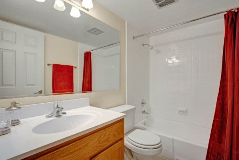 Bathroom with large vanity mirror at Blackhawk Apartments in Elgin, Illinois