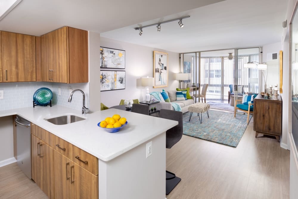 Renovated apartment at Meridian at Gallery Place