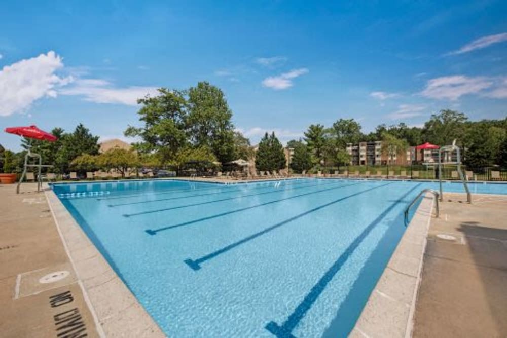 Large outdoor pool at Cinnamon Run at Peppertree Farm in Silver Spring, Maryland