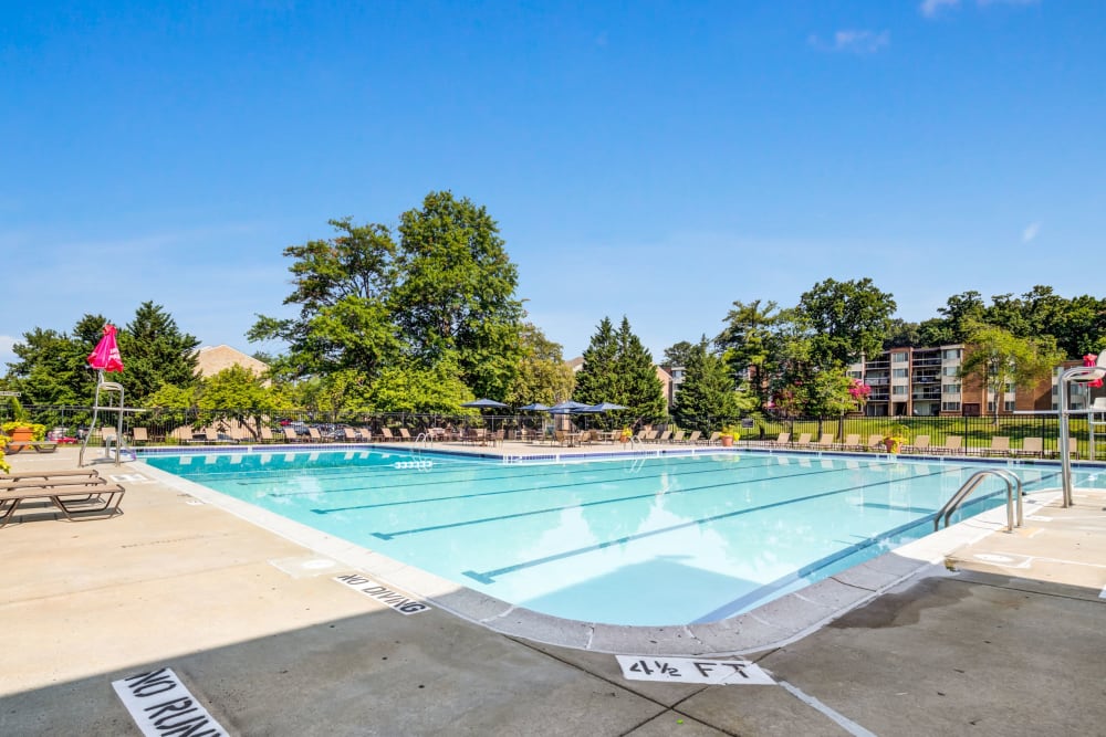 Glistening outdoor pool at Cinnamon Run at Peppertree Farm in Silver Spring, Maryland