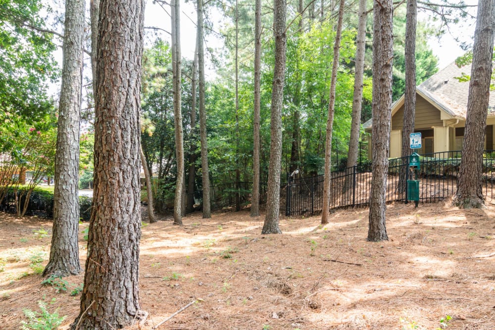 Wooded walkways at Holland Park in Lawrenceville, Georgia