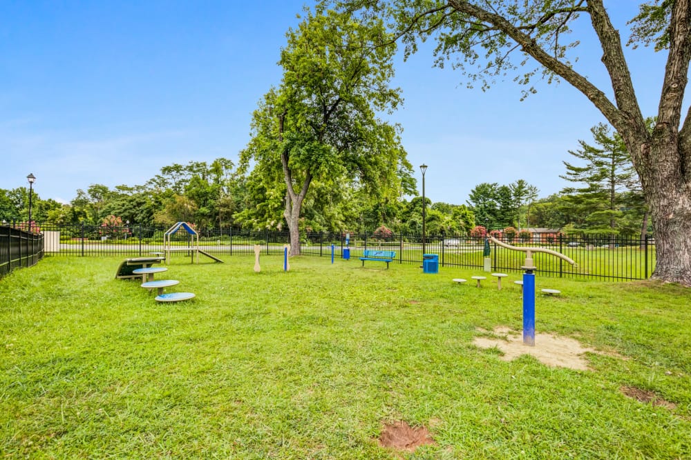 Outdoor dog park at Howard Crossing in Ellicott City, Maryland