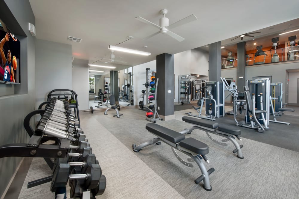 Free weights in fitness center at Linden Crossroads in Orlando, Florida