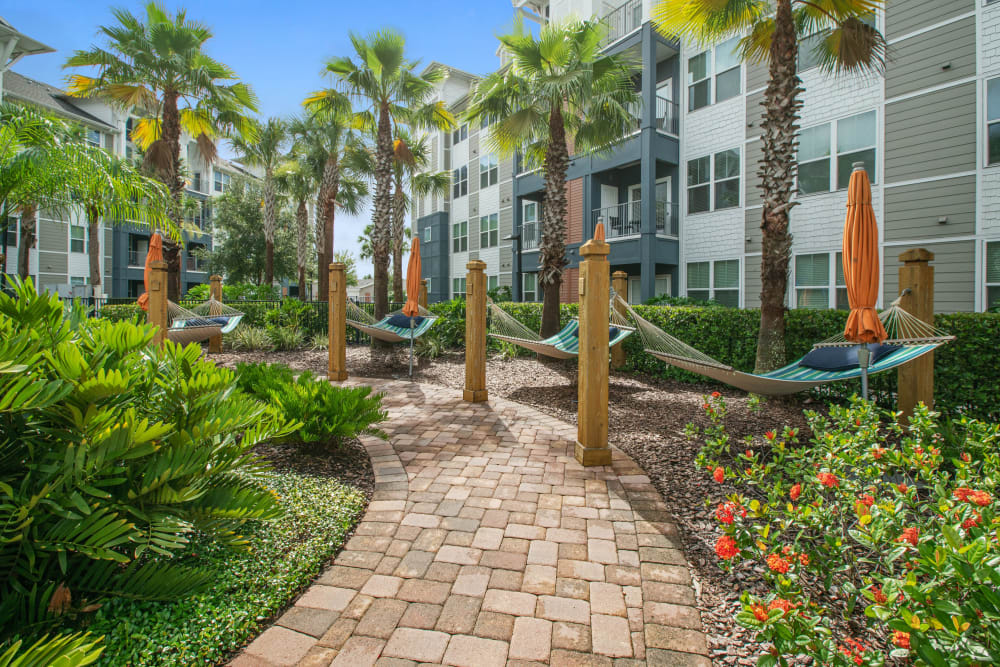 Palm trees surrounding walkways with hammocks at Linden Crossroads in Orlando, Florida