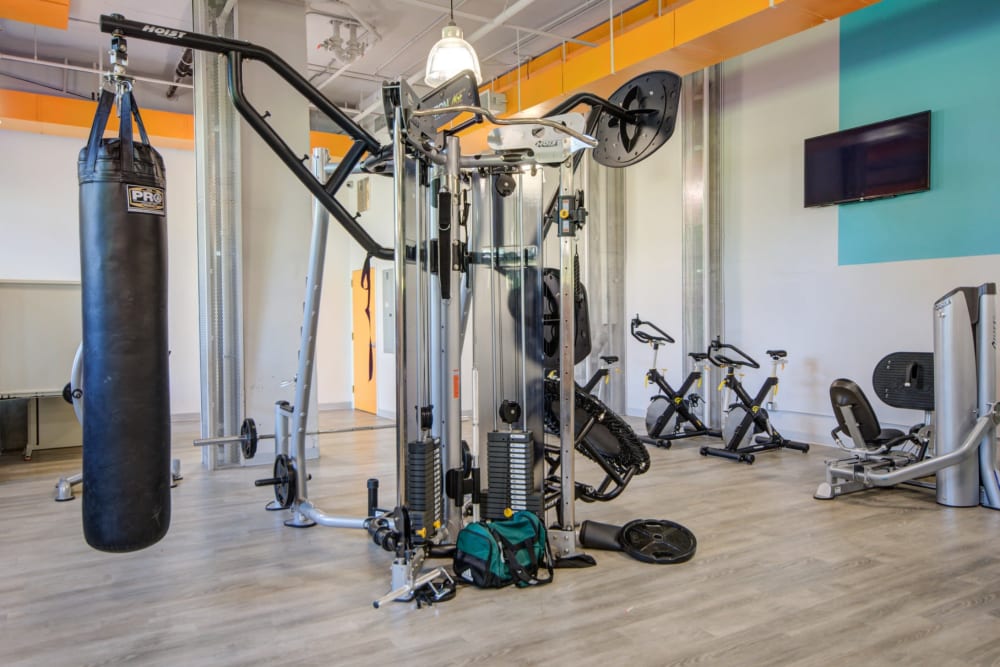 Full sized fitness area with tons of weight machines at Sofi 55 Hundred in Arlington, Virginia