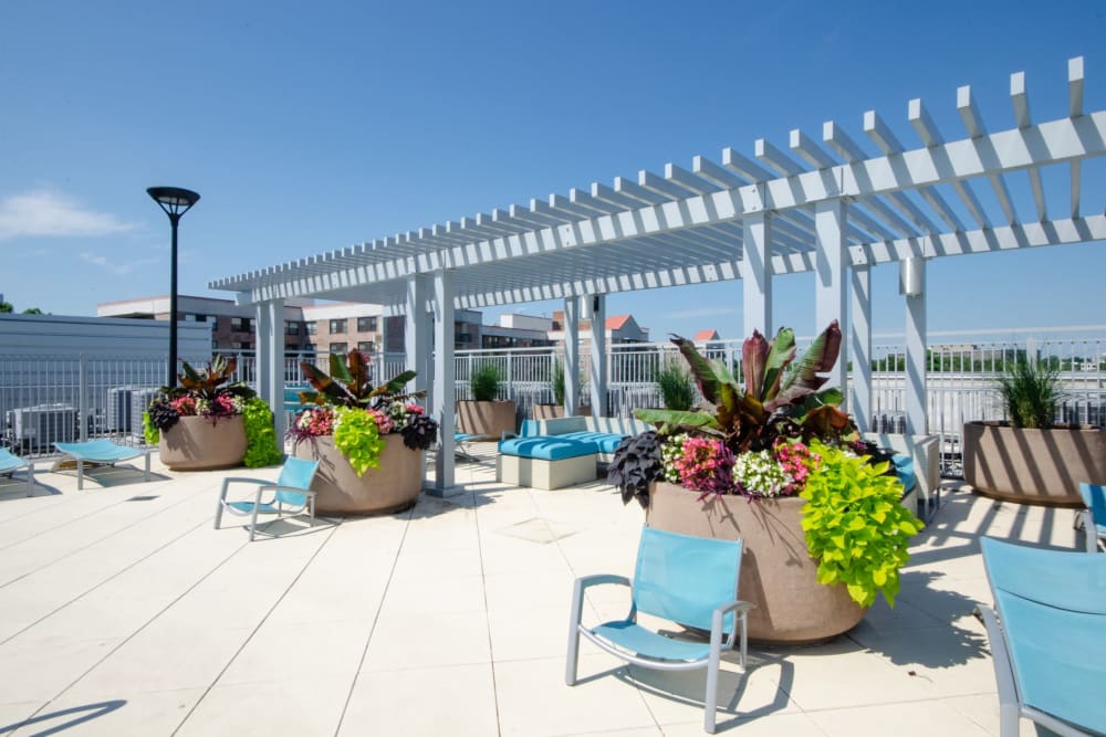 Outdoor lounge area right next to the gorgeous swimming pool at Sofi 55 Hundred in Arlington, Virginia