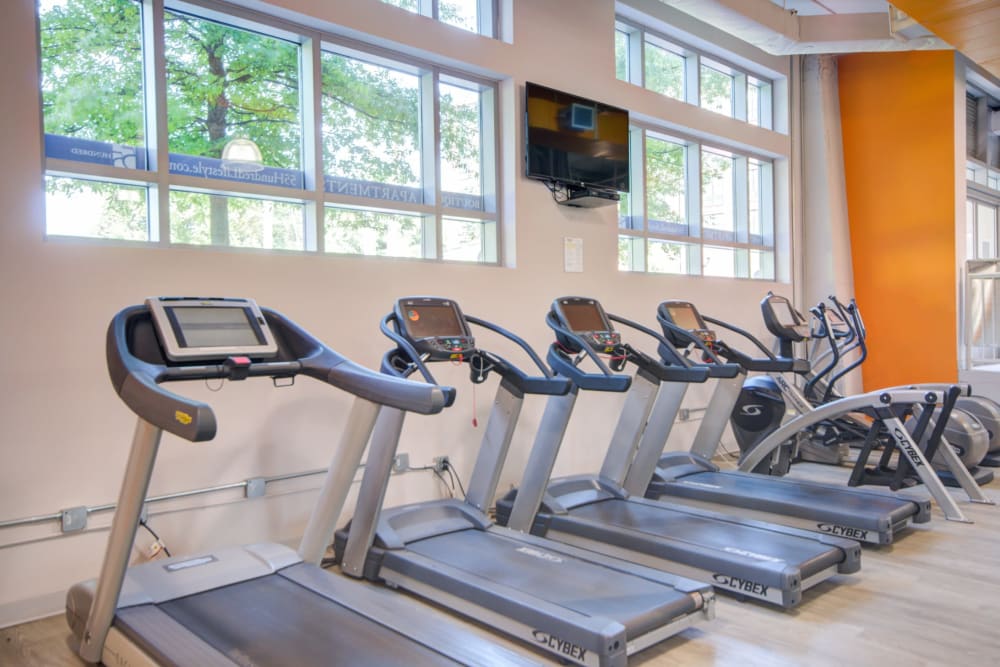 Line of cardio machines in the fitness center at Sofi 55 Hundred in Arlington, Virginia