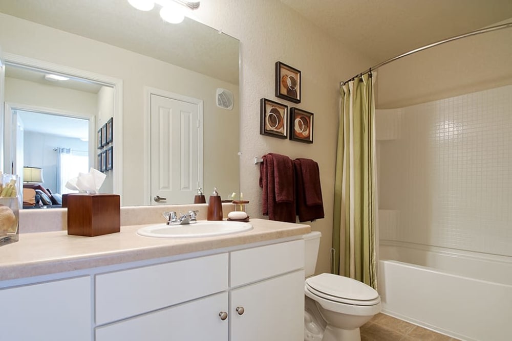 Bathroom with oversized vanity and tub/shower combination at Parc at Flowing Wells Apartment Homes in Augusta, Georgia