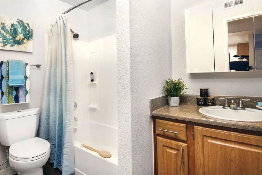 Bathroom with a shower and nice vanity with a mirror over it at Sofi Belmar in Lakewood, Colorado