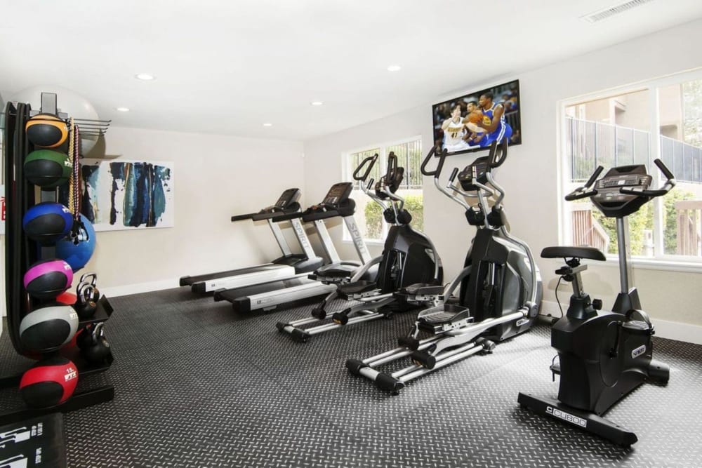 Some exercise balls and cardio machines to workout on in the fitness center at Sofi Belmar in Lakewood, Colorado