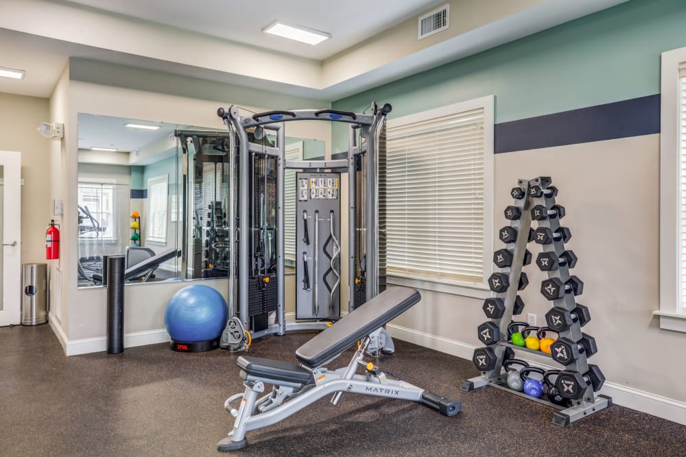 Free weights in the fitness center at Regency Place in Wilmington, Massachusetts