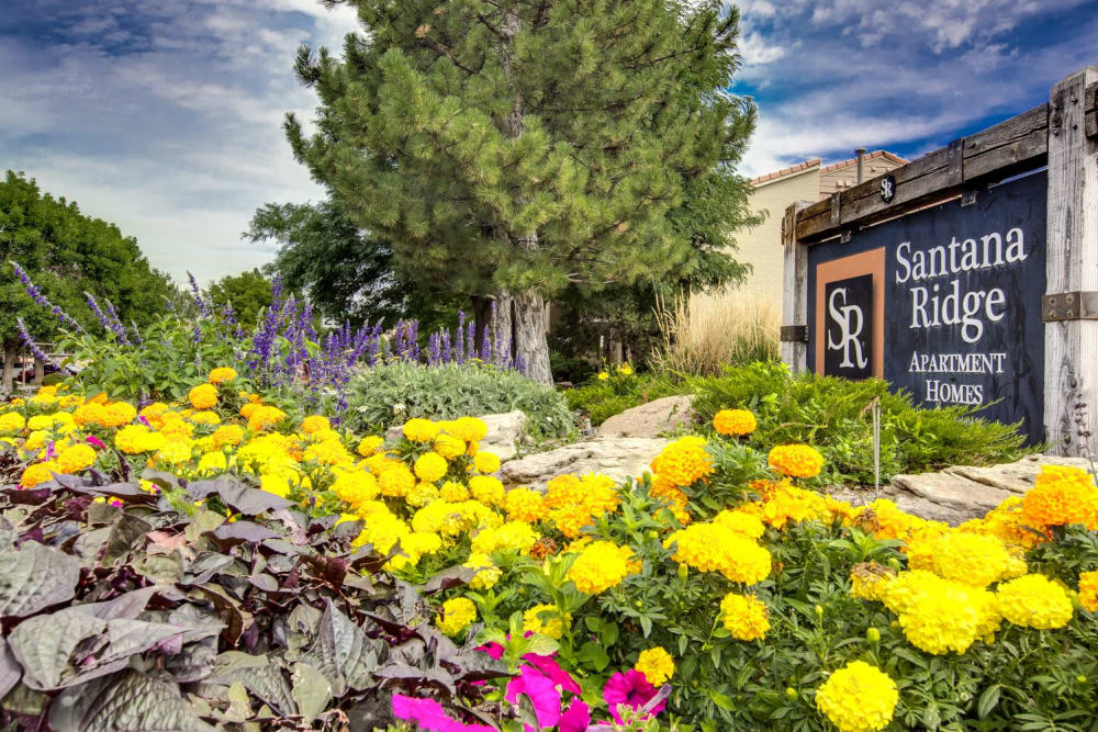 Flowers in front of entry sign at Santana Ridge in Denver, Colorado