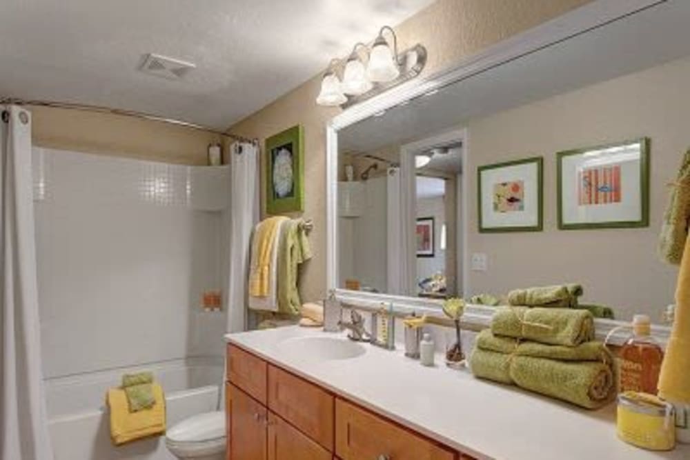 Bathroom at Signal Pointe Apartment Homes in Winter Park, Florida