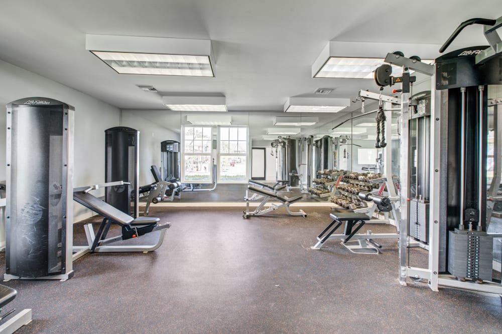 Free weights in fitness Center at Signal Pointe Apartment Homes in Winter Park, Florida