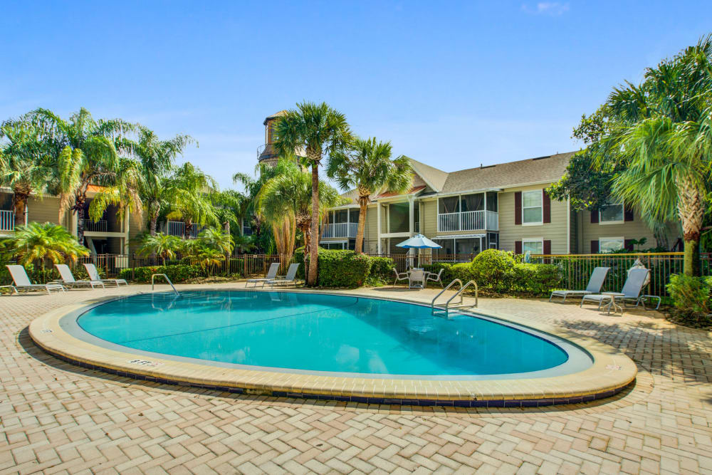 View of building exterior and palm trees from pool at Signal Pointe Apartment Homes in Winter Park, Florida