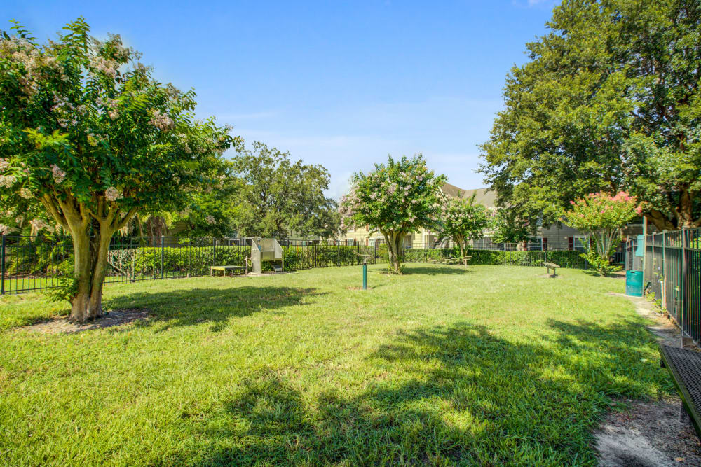 Outdoor dog park at Signal Pointe Apartment Homes in Winter Park, Florida