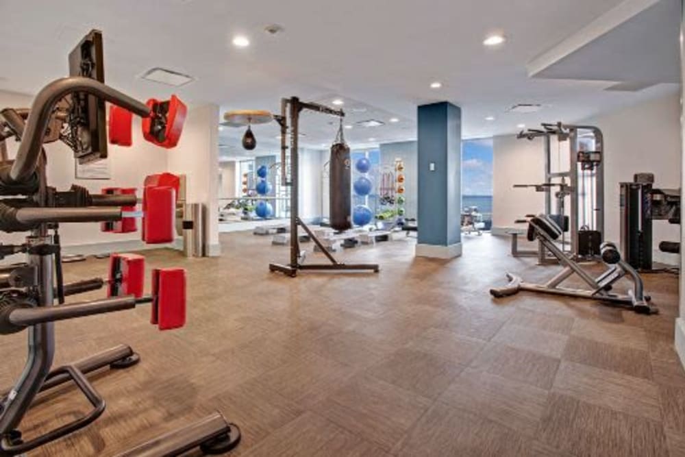 Plenty of equipment in the fitness center at Skyline New Rochelle in New Rochelle, New York