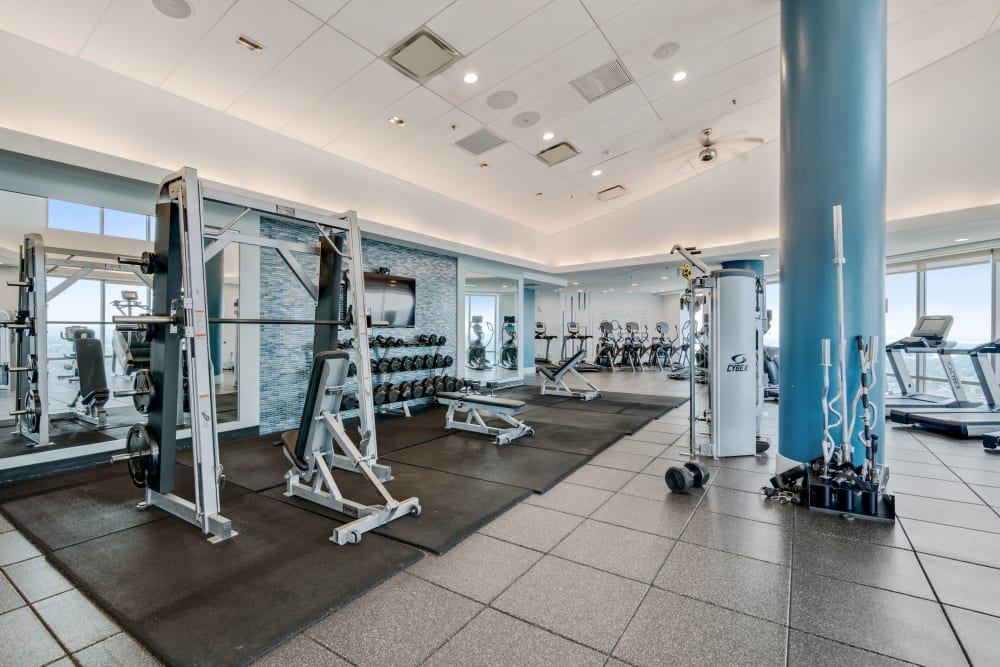 Free weights in the fitness center at Skyline New Rochelle in New Rochelle, New York
