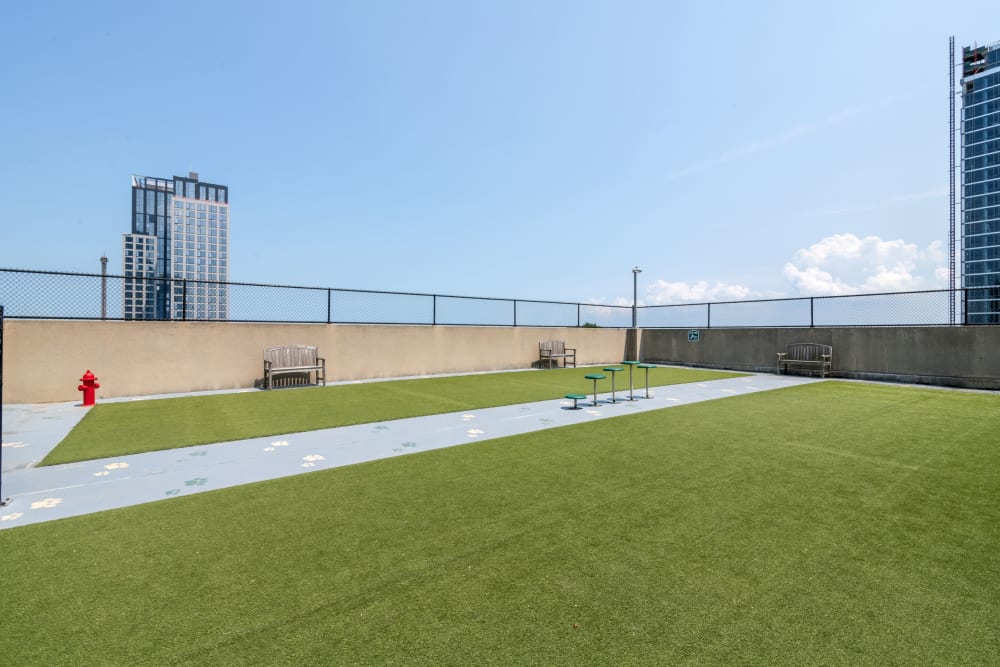 Roof top dog park at Skyline New Rochelle in New Rochelle, New York