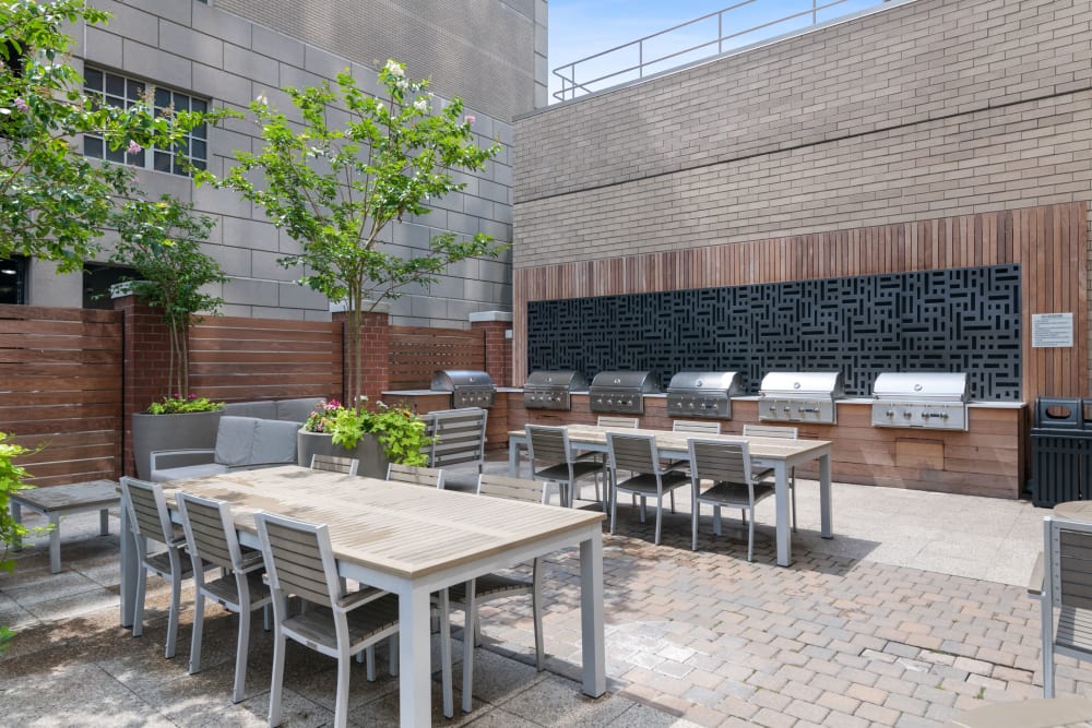 Outdoor barbecue area at Skyline New Rochelle in New Rochelle, New York
