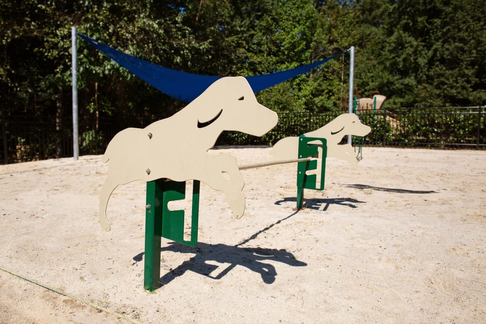Dog park at Woodlake Reserve in Durham, North Carolina