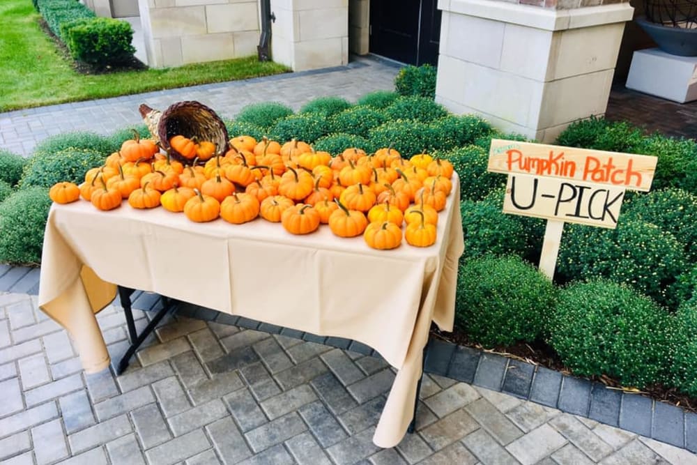 Pumpkin patch set up for the residents at Blossom Ridge in Oakland Charter Township, Michigan