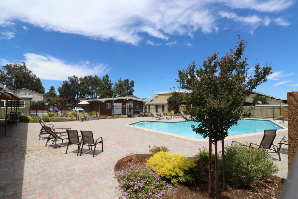 Pool at Briarwood Apartment Homes in Livermore, California