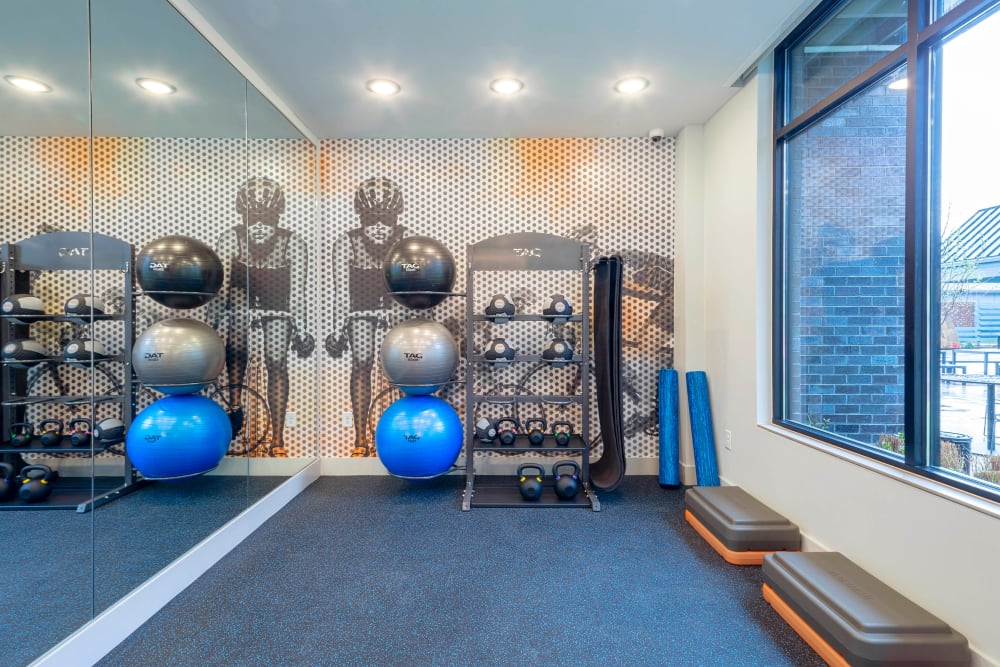 Kettlebell and yoga ball collection at Everly in Largo, Maryland