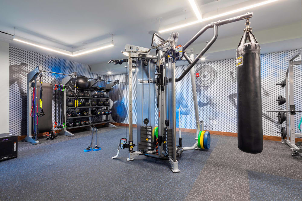 Medicine ball rack and gym equipment at Everly in Largo, Maryland