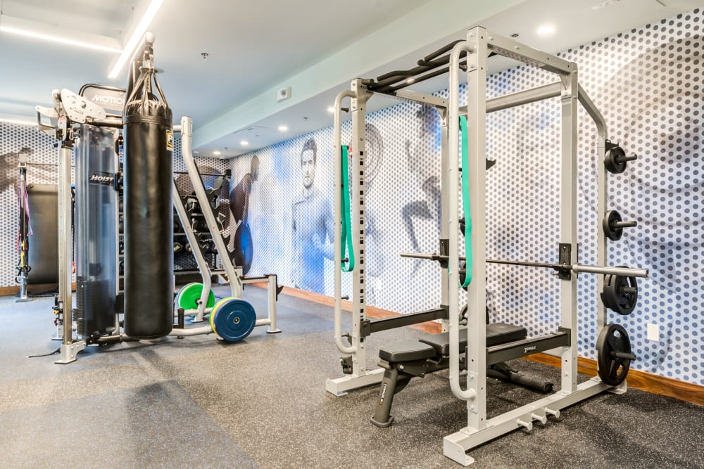 Squat rack and gym equipment at Everly in Largo, Maryland