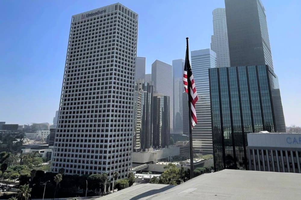 American flag and surrounding buildings around Los Angeles Self Storage in Los Angeles, California