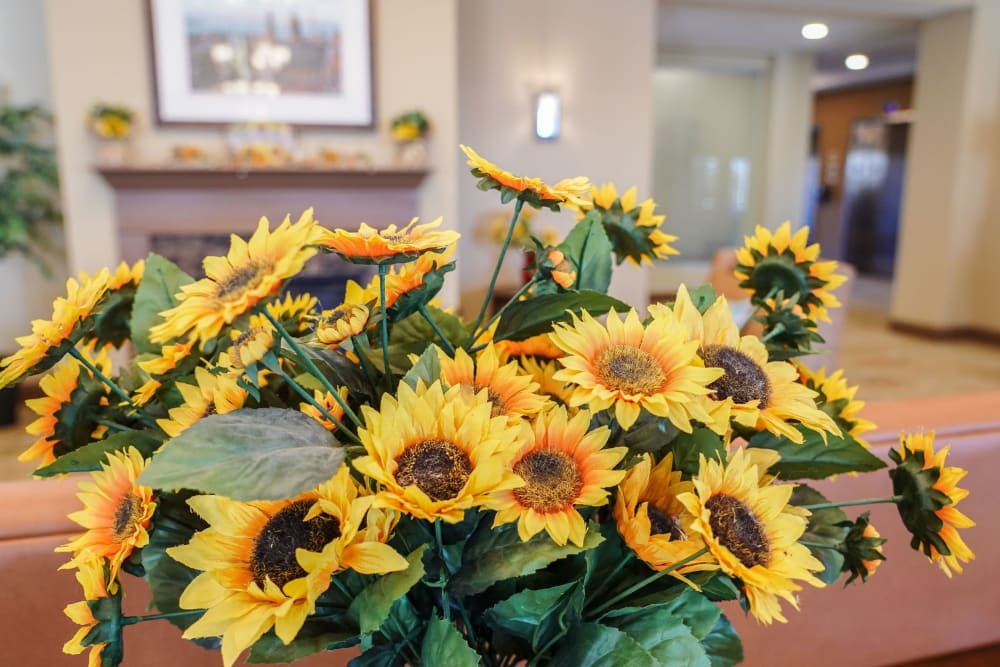 Flowers at Harmony at West Shore in Mechanicsburg, Pennsylvania