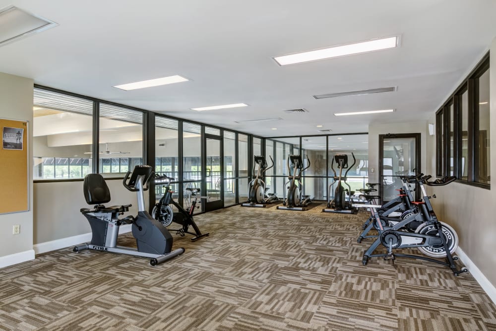 Gym cardio equipment at Goldelm at Metropolitan in Knoxville, Tennessee