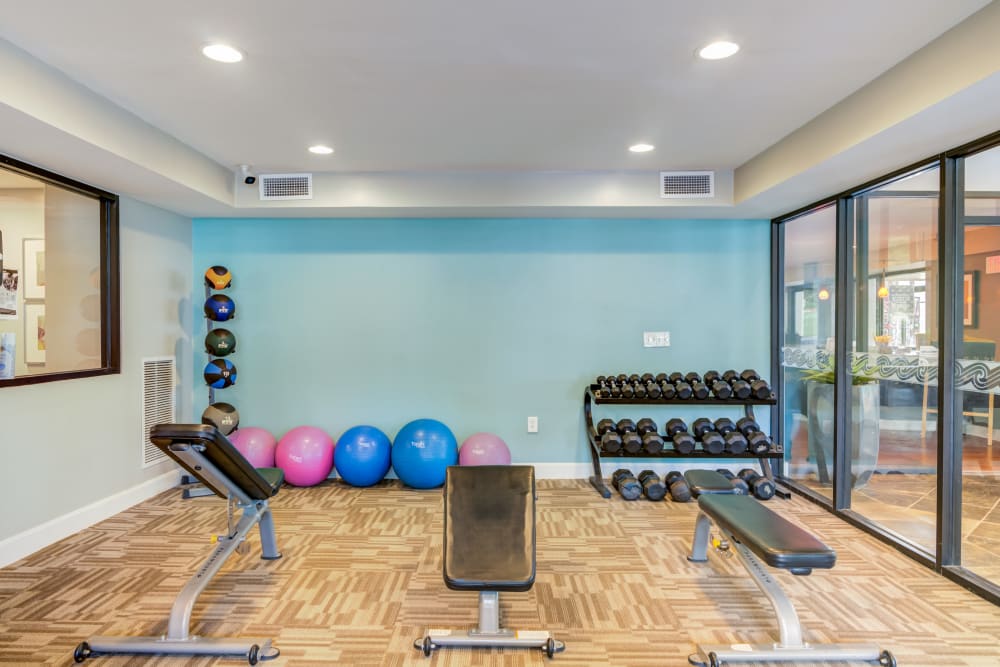 Gym weight benches and free weights at Goldelm at Metropolitan in Knoxville, Tennessee
