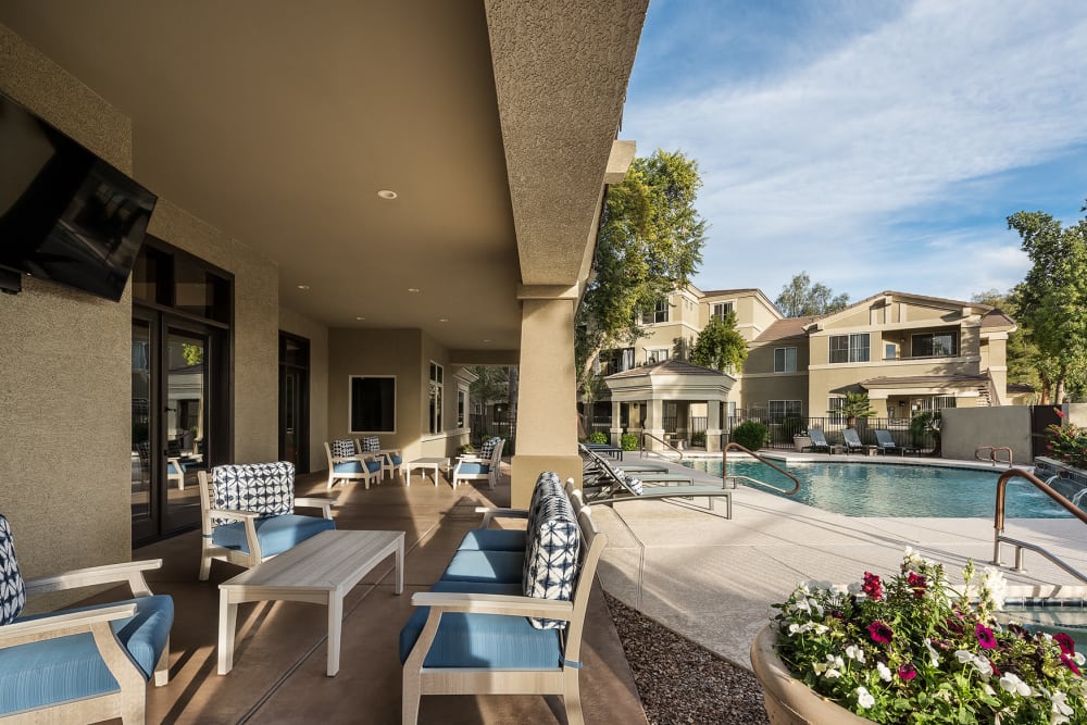 Swimming pool area with covered lounge seating nearby at The Reserve at Gilbert Towne Centre in Gilbert, Arizona